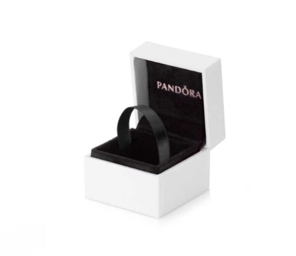 CAJA PANDORA PEQUEÑA - Image 2