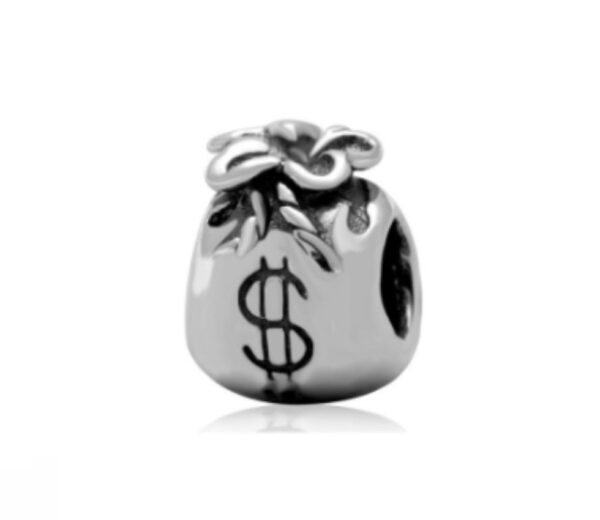 CHARM - BOLSA DINERO